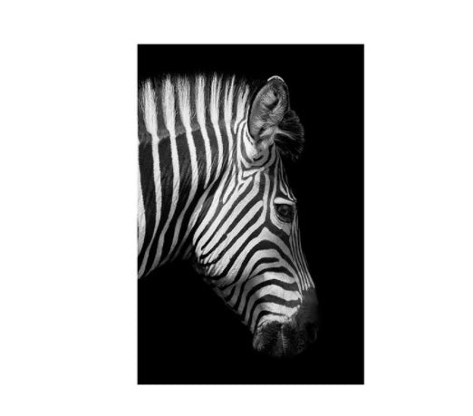 Black And White Animal Zebra Wall Art Canvas Painting Wall